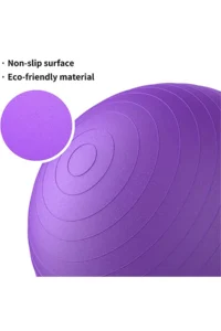 65 cm Pilates Topu ve Çift Yönlü Pompa Seti Kaliteli Malzeme Yoga Egzersiz Topu (Mor) - Görsel 2