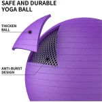 65 cm Pilates Topu ve Çift Yönlü Pompa Seti Kaliteli Malzeme Yoga Egzersiz Topu (Mor) - Görsel 3